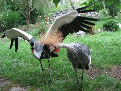 NA JASI (2026) All You Need to Know BEFORE You Go (with Photos ...