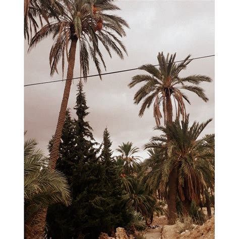 HOTEL PALACE BISKRA - Specialty Hotel Reviews & Photos - Tripadvisor