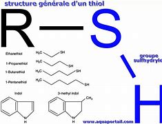 Image result for thiols
