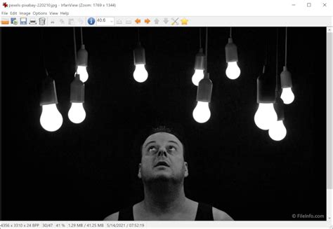 IrfanView Software 的图像结果