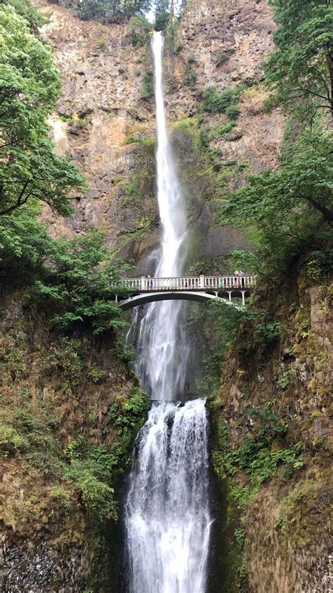 10 of the most gorgeous waterfall hikes in oregon – Artofit