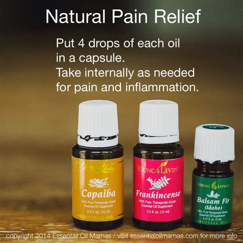 young living essential oils login