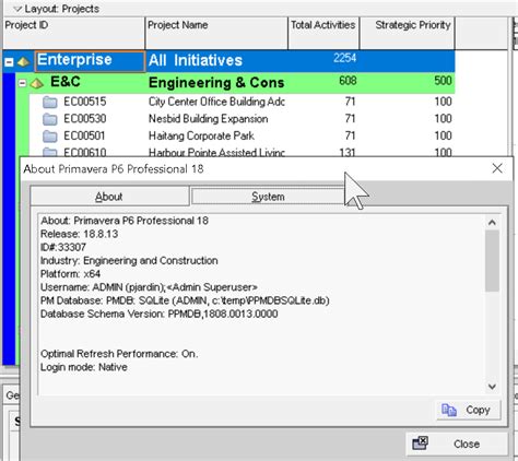 Image result for Oracle Primavera P6 Opening Window