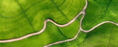 Download wallpaper 2560x1024 road, field, aerial view, relief, green ...