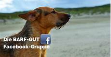 katze durchfall und erbrechen w 252 rmer durchfall co 5 einfache rezepte f 252 r hunde und katze durchfall und erbrechen w 252 rmer durchfall co 5 einfache rezepte f 252 r hunde und