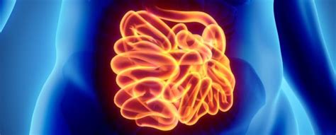 Image result for Poop Brain