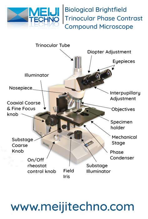 Microscope Terminology 的图像结果