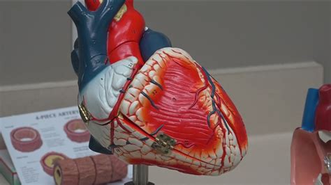 An hour of exercise improves heart health, cardiologists say | kvue.com