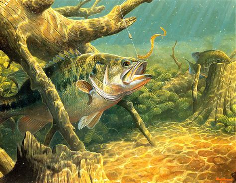 Free Largemouth Bass Wallpapers - Wallpaper Cave