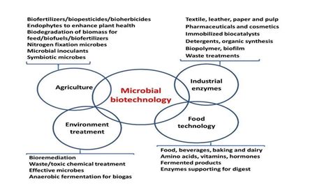 Biotechnology Basic Concepts 的图像结果