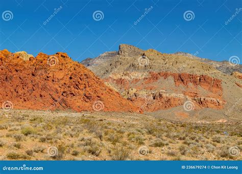 Sunny View of the Landscape in Calico Basin Trail Stock Photo - Image ...