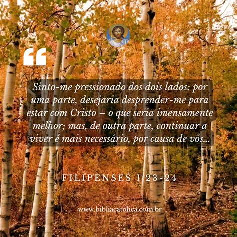 Filipenses 1,23-24 - Bíblia Católica Online