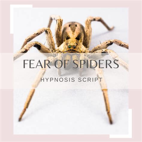 Fear of Spiders Hypnosis Script - Overcome Arachnophobia PDF - Rewire ...