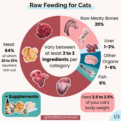 Calculator: raw diet for cats — The Little Carnivore in 2024 | Raw cat ...