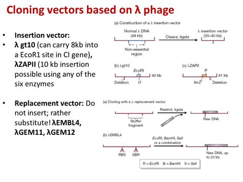 Image result for Replacement Vector Vector Structure