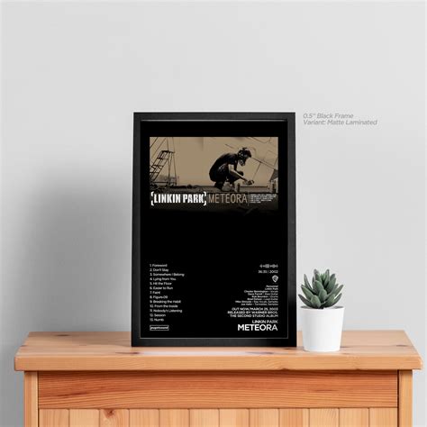 Meteora Album Art - Mercer – PugetSound