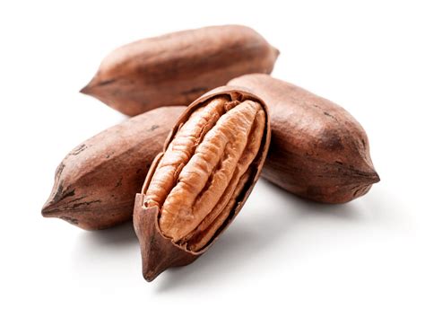 Pecan Nut Shell