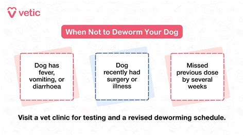 Choosing a Dewormer: Explore All Dewormers For Dogs and Pups