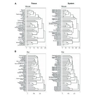Transcriptome TreeMap 的图像结果