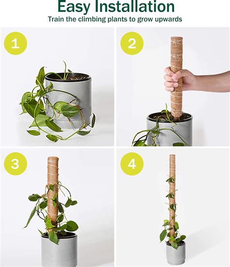 Buy 2-Pack 16'' Moss Poles with 20Pcs Adjustable Plant Ties and 17ft ...
