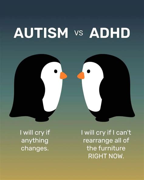 ADHD and Autism: Understanding the Overlap and Distinctions in Neurodevelopmental Disorders ...