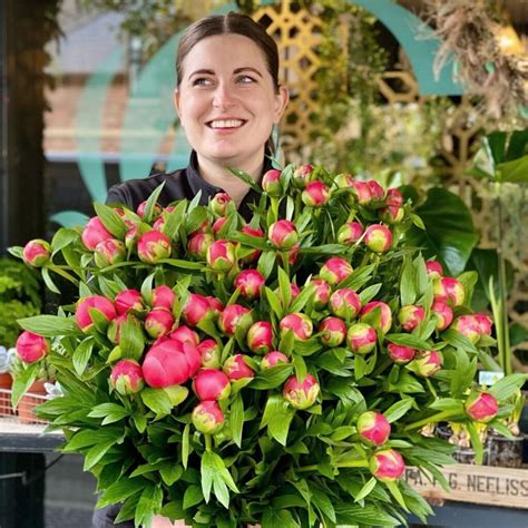 When and Where Are Peonies in Season? Time to Find Out!