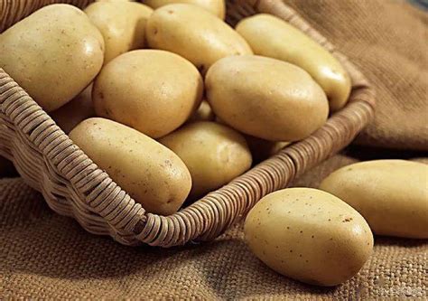 土豆的历史：正式名称叫“马铃薯”，早年间被欧洲人当成了花种-搜狐