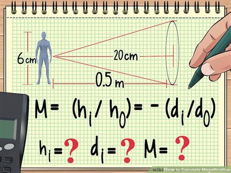 What Is Magnification 的图像结果
