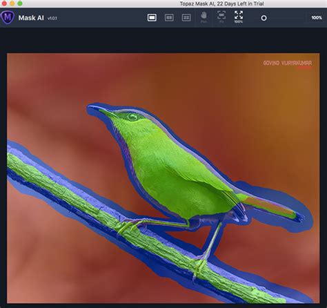 Topaz Mask Tutorial 的图像结果