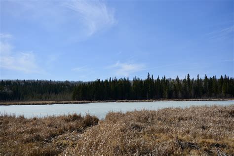 Long Lake Campground | Athabasca Region Tourism