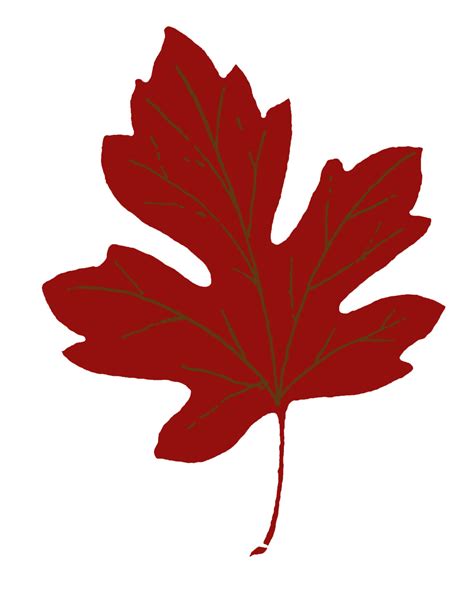 15 Maple Leaf Clipart! - The Graphics Fairy