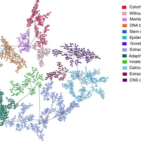Image result for Probability Graph Model
