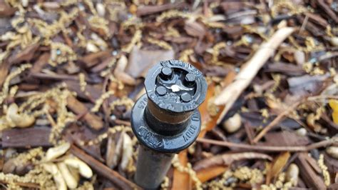 Sprinkler Head Repair Lucas, TX | Wet Willie's Sprinkler