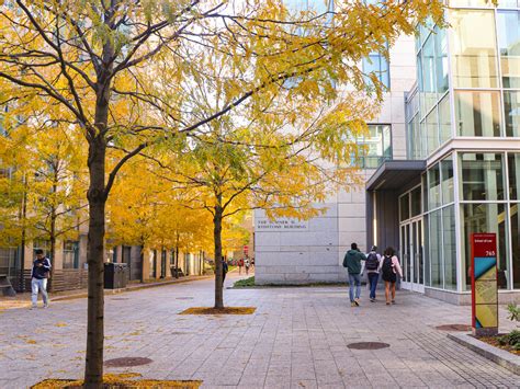 Image result for LLM Programs