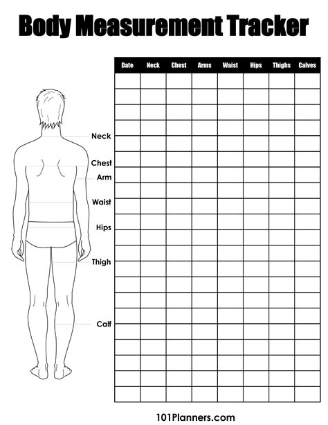 The Perfect Male Body Measurements
