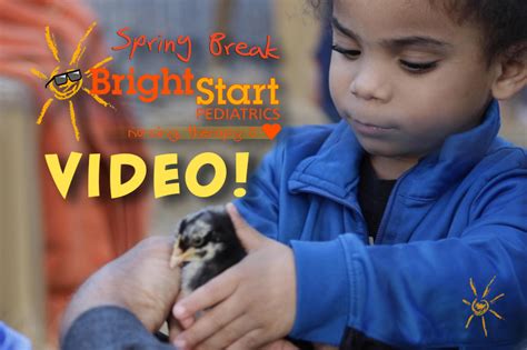 Embarrsing Spring Break 2019 的图像结果