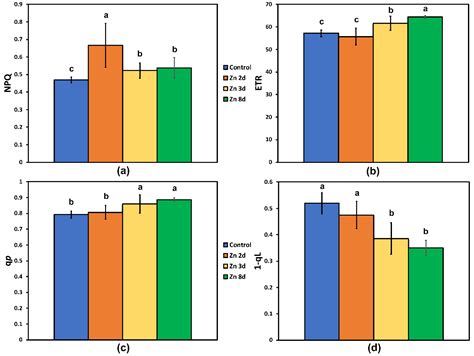 A Hormetic Spatiotemporal Photosystem II Response Mechanism of Salvia ...