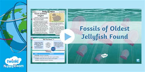 Fossils of Oldest Jellyfish | Twinkl NewsRoom (teacher made)