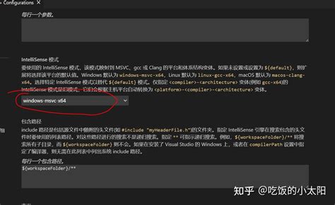Setting JSON CMake Vscode 的图像结果