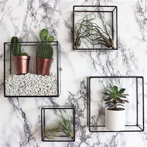 Potted designs: indoor shelf options to showcase your plants ...