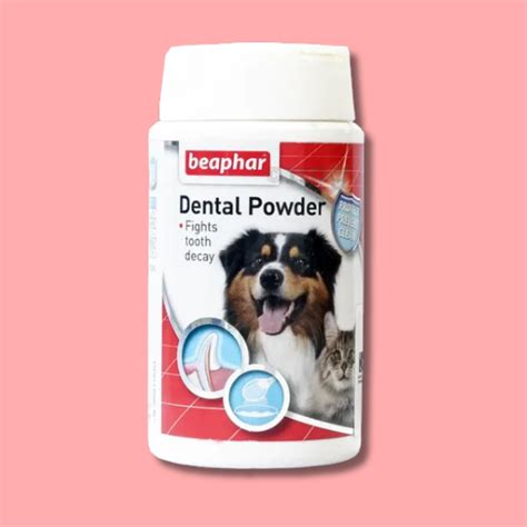 Dental Care/Mouth Hygine For Cats – Surya Vets