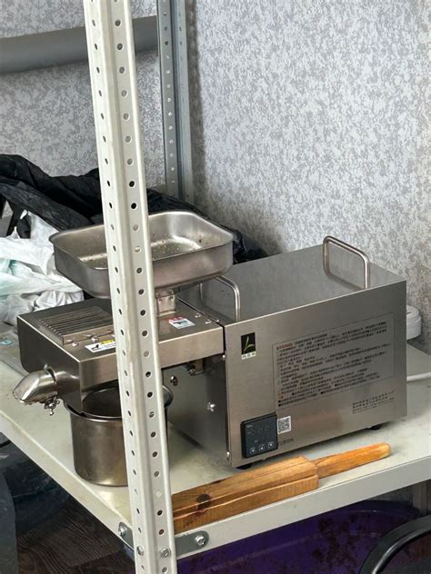 Export Examples 的图像结果