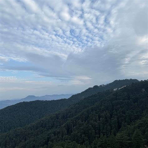 DEVENTURE HOTEL, CHAIL (Himachal Pradesh) - Inn Reviews, Photos, Rate ...