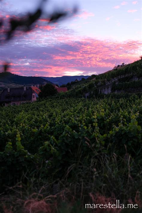 Wachau: Tipps und Highlights - von Bootsfahrt bis Weinverkostung