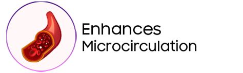 Veinocap Veg Phyto Capsules – Varco Leg Care