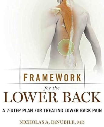 Buy Framework for Lower Back: A 6-Step Plan for Treating Lower Back ...