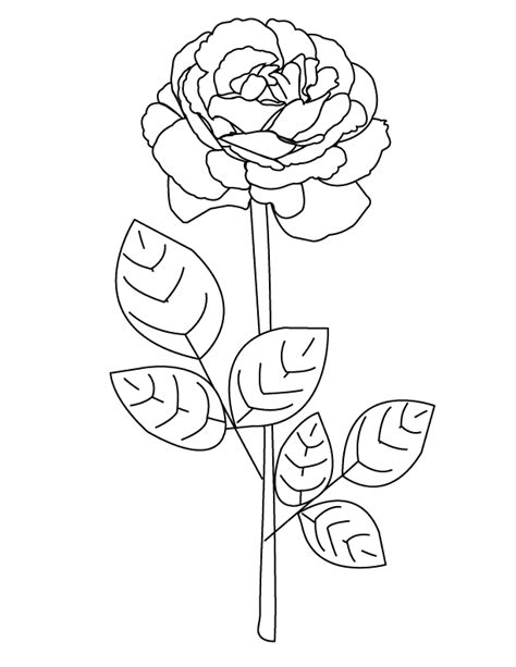Image result for Rose Code Using HTML and CSS