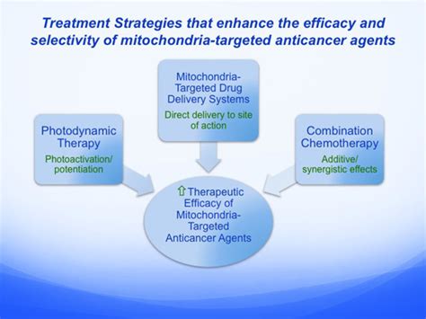 Treatment Strategies that Enhance the Efficacy and Selectivity of ...