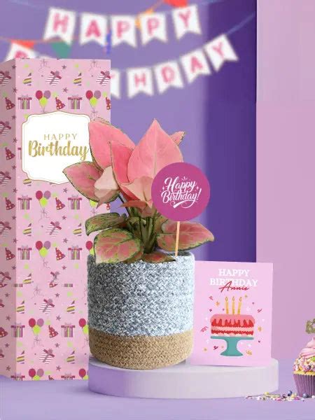 Eco Friendly Plant Gifts To Celebrate Employee Birthdays – Greenkin