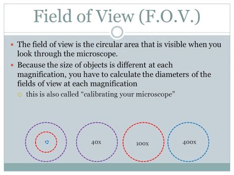 Field of View Microscope 的图像结果